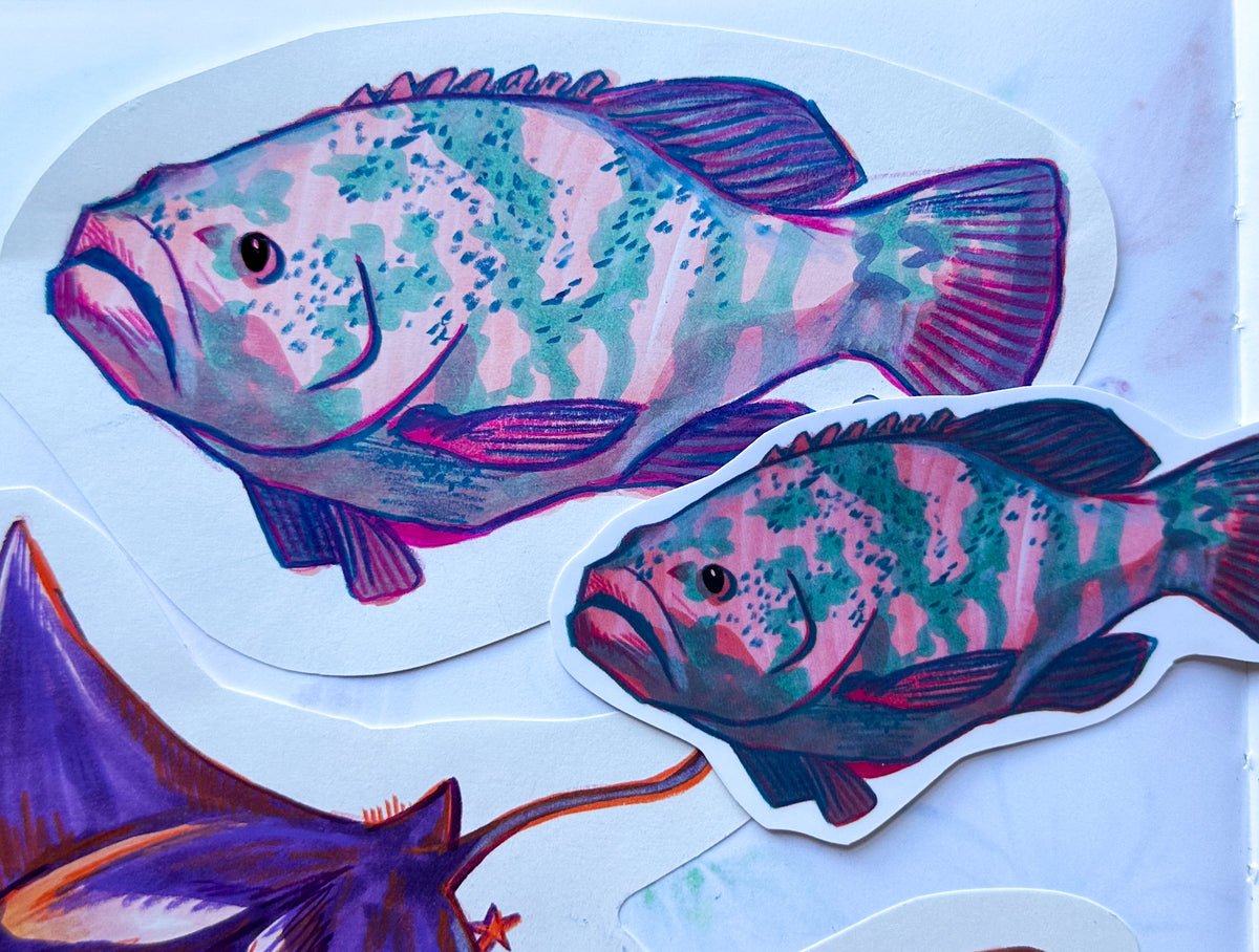 Grouper Hand-drawn Sticker