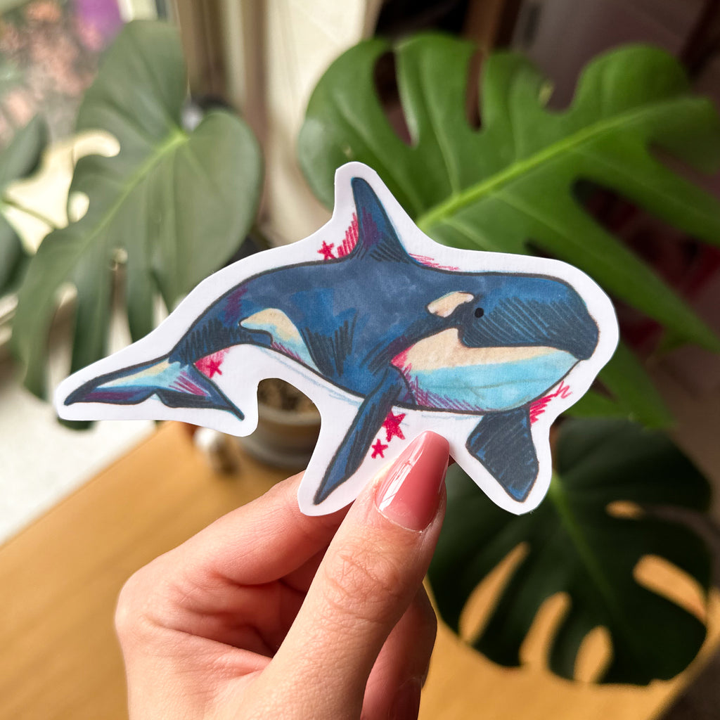 Orca Hand-drawn Sticker