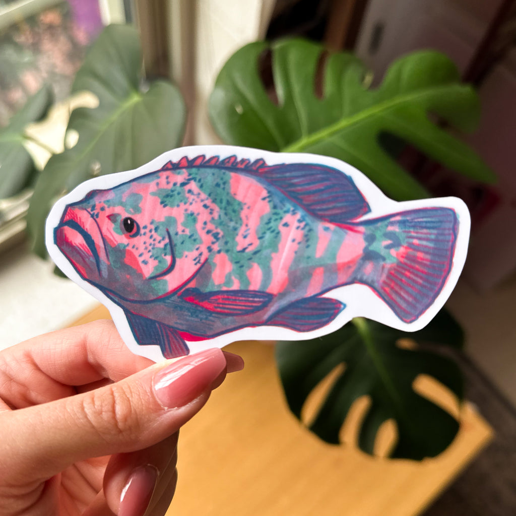 Grouper Hand-drawn Sticker