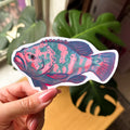 Grouper Hand-drawn Sticker