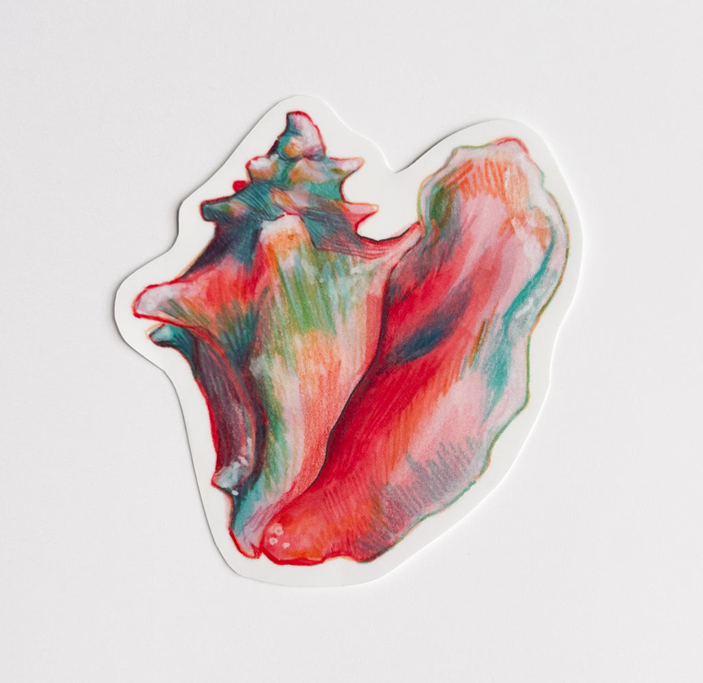 Sea Shell Conch Hand-drawn Sticker