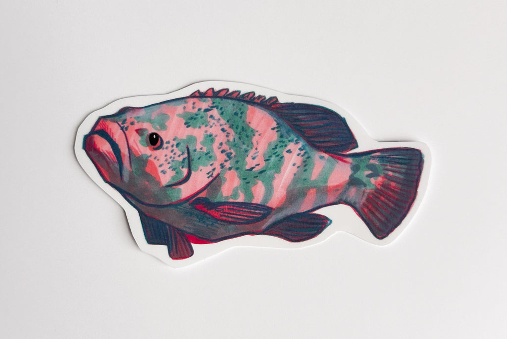 Grouper Hand-drawn Sticker