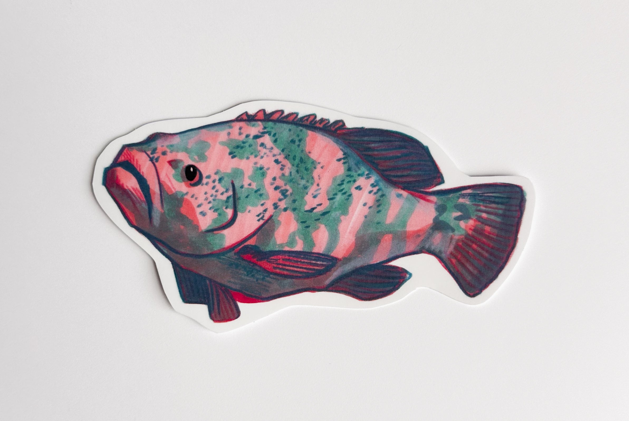 Grouper Hand-drawn Sticker