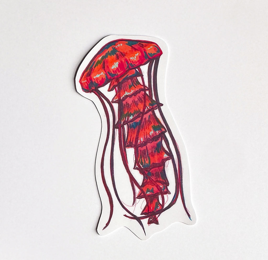 Jellyfish Hand-drawn Sticker