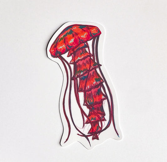 Jellyfish Hand-drawn Sticker